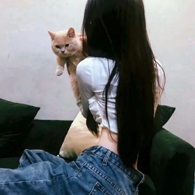 我的西游
