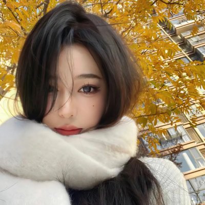 新边城浪子
