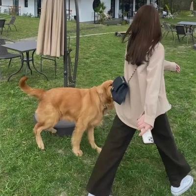 终极一家
